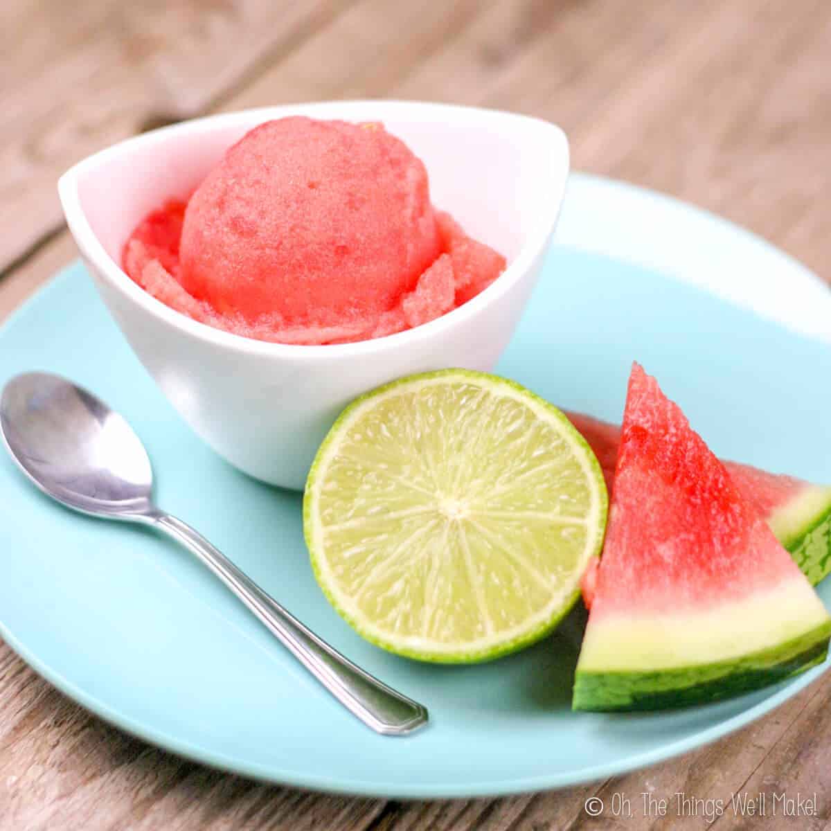 Image from: thethingswellmake.com l Watermelon Sorbet