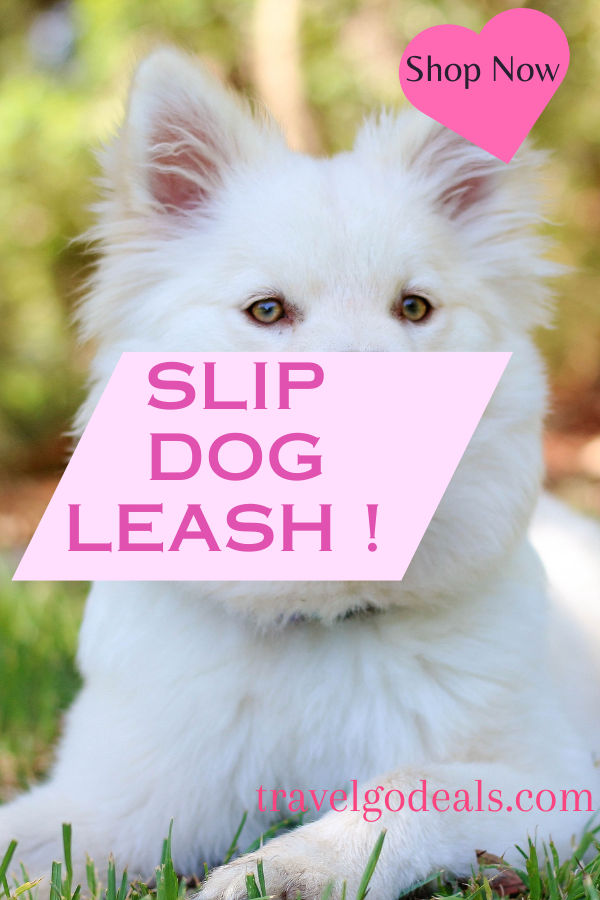 Slip Dog Leash