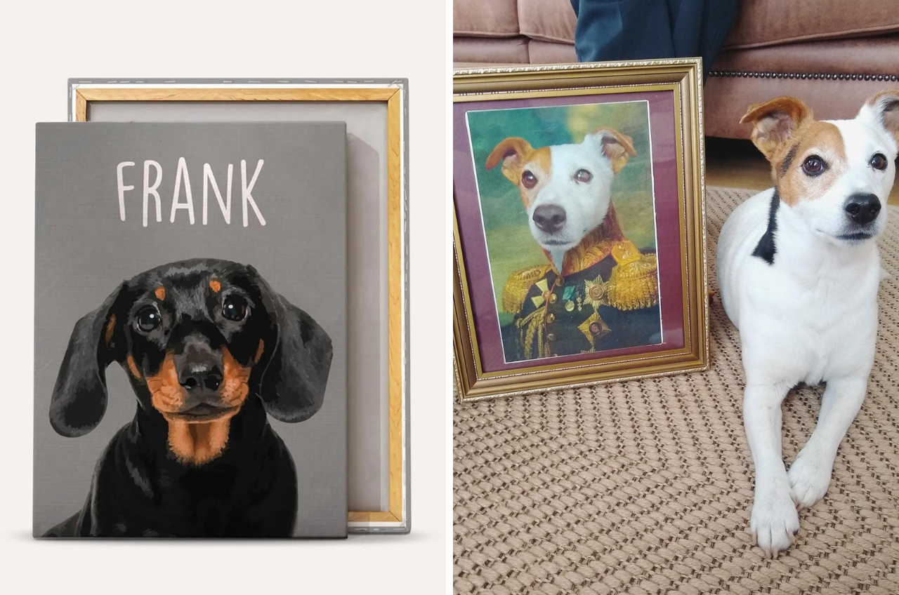 IMAGE FROM: PURR & MUTT - CUSTOM FUNNY PET PORTRAITS