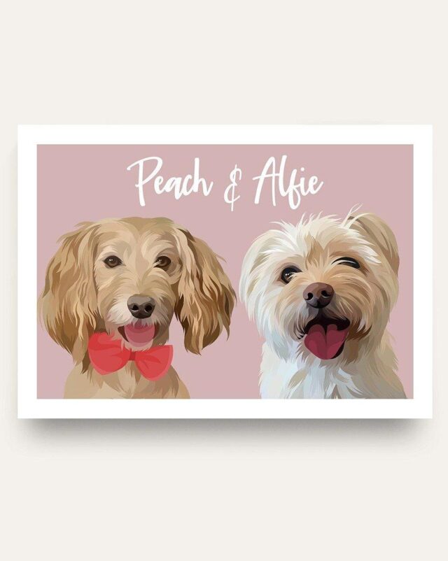 Image From: Purr and Mutt - Moder Pet Portrait