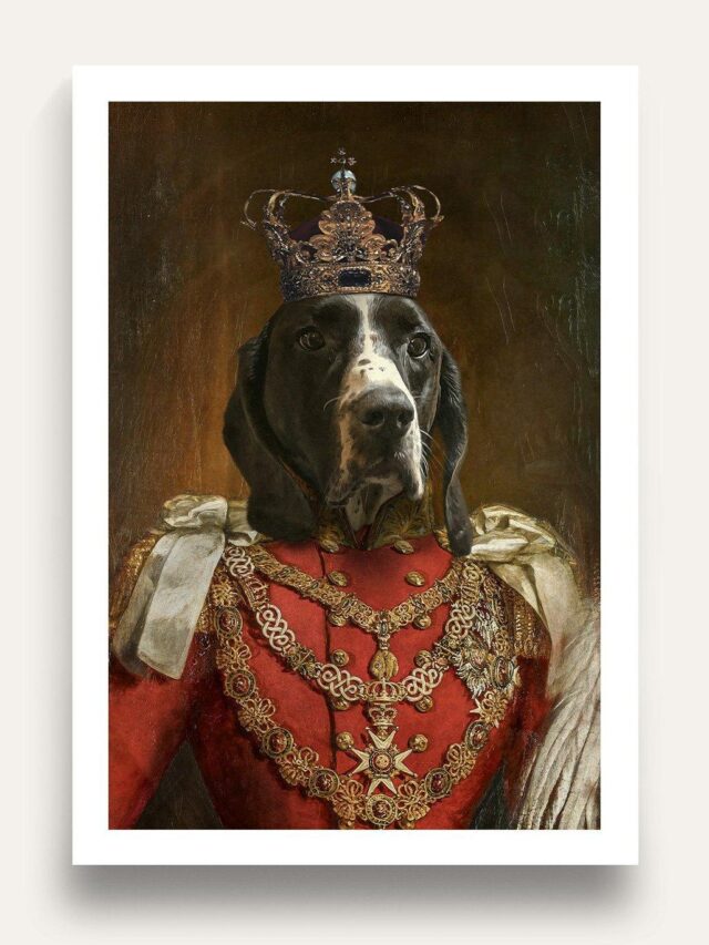 Image From: Purr and Mutt l The Prince Pet Portrait