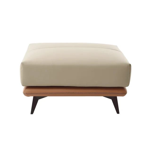 Image FRom: 25Home - All-Leather Ottoman