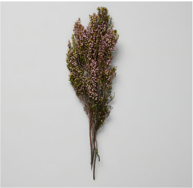 Dried Pink Heather