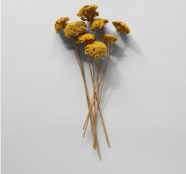 Dried Natural Yarrow