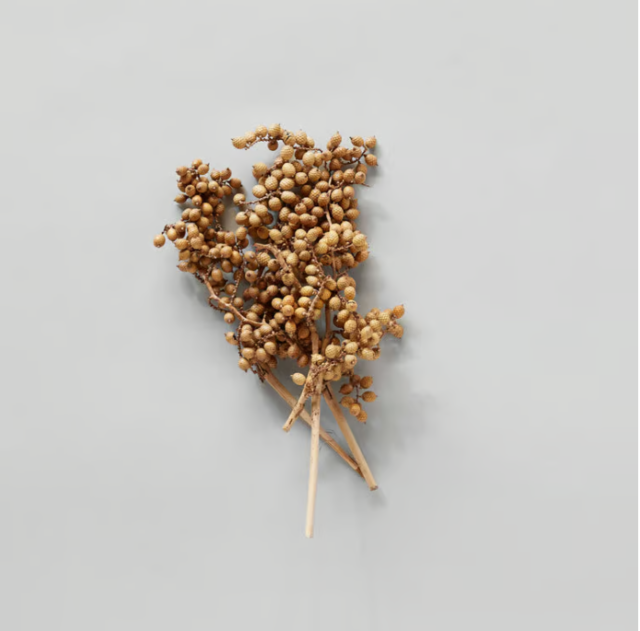 Dried Natural Canella