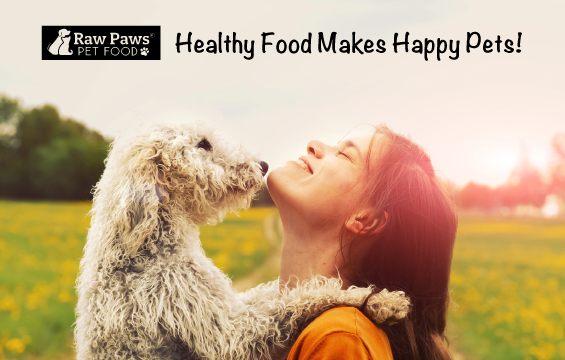 Image From: Raw Paws Pet Food / Dog Food Delivery Service - USA / affordable, and accessible for you, as a pet parent, to provide your pet with ready-to-serve raw pet food, formulated in a blend that is as natural as possible, just meat, bone, and organ.