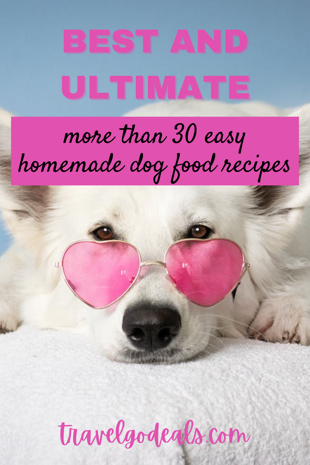 Best and ultimate easy homemade dog food recipes