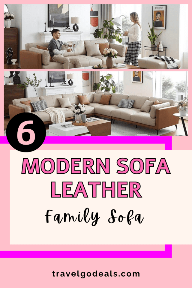 Home Furniture - Modern Sofa Leather