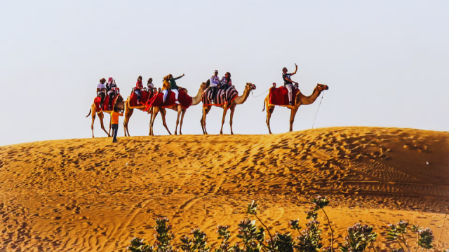 Dubai: Red Dune Safari, Camel Ride, Sandboarding, and Dinner